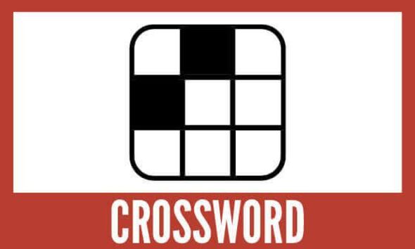 #29 - Bonus! Crossword