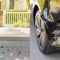 Pelosi Hit and Run Humiliation