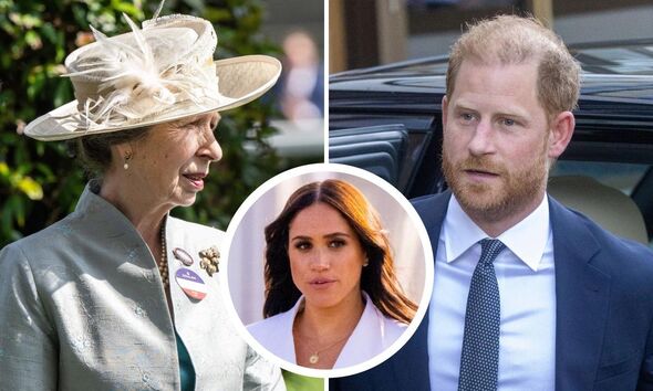 Princess Anne Wants to ‘Sit Down’ With Prince Harry ‘Alone,’ ‘Too Risky’ Having Meghan Markle There