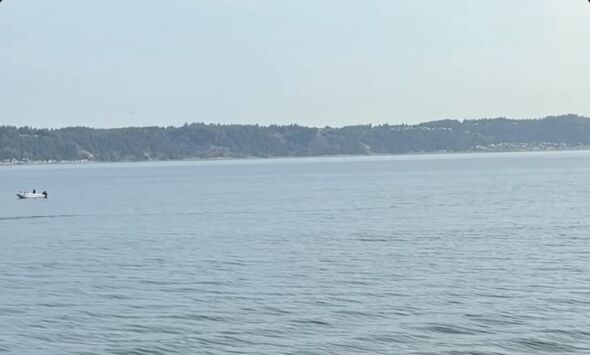 Man Dies After Kayak Sinks In Puget Sound And Good Samaritan Pulls Him To Shore